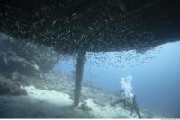 Photo Reference of Shipwreck Sudan Undersea 0035